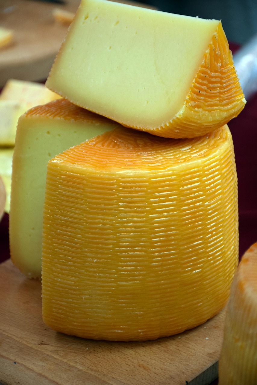 Fromage de chèvre frais en portion