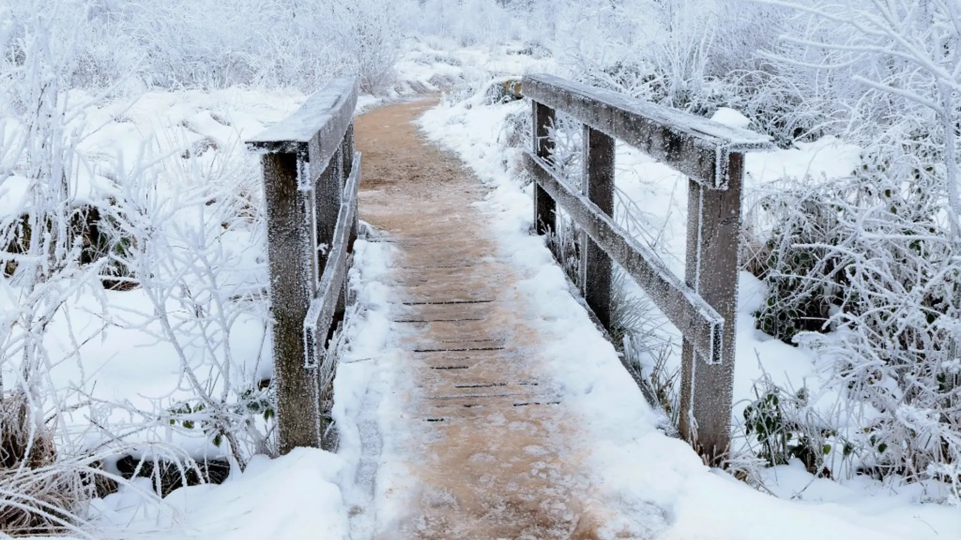 Ambiance hivernale illustrant le confort recherché avec une climatisation efficace à domicile