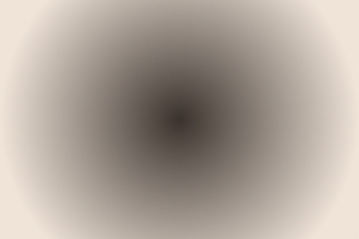Cérémonie de mariage en lumière naturelle